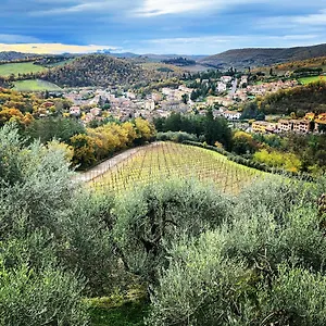 Capannelle Wine , Gaiole in Chianti Italia