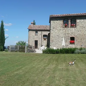 Colli Di Travale , Montieri Italia